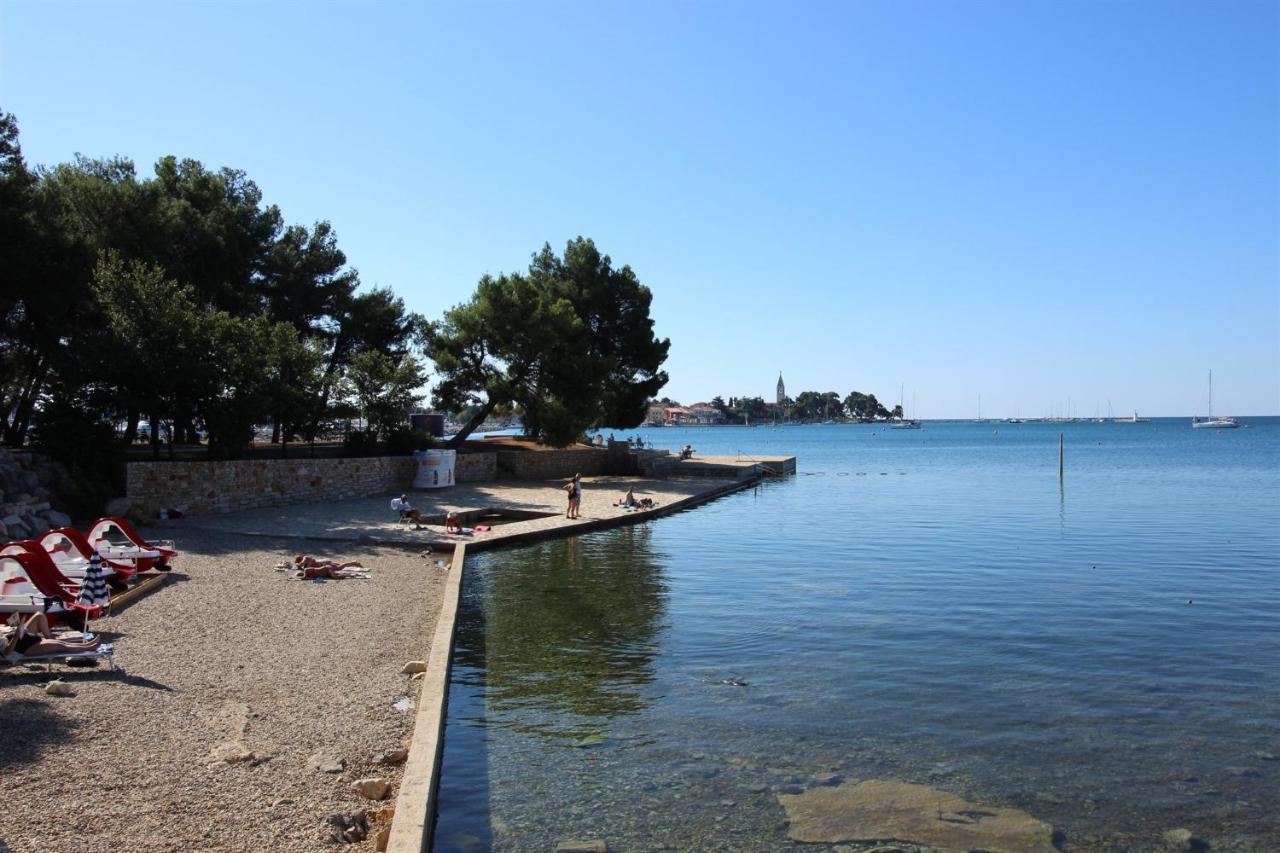 شقة Irena A2 Novigrad Istria المظهر الخارجي الصورة