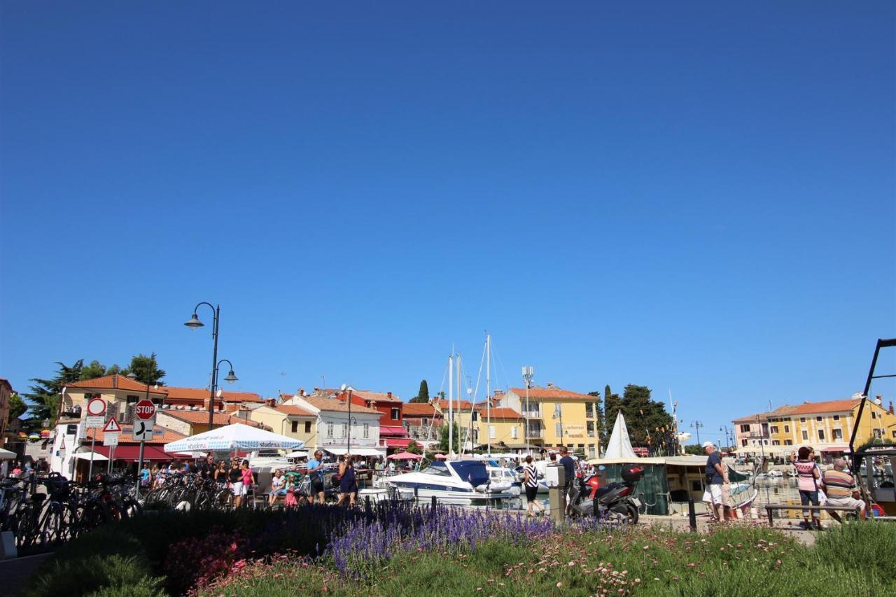 شقة Irena A2 Novigrad Istria المظهر الخارجي الصورة