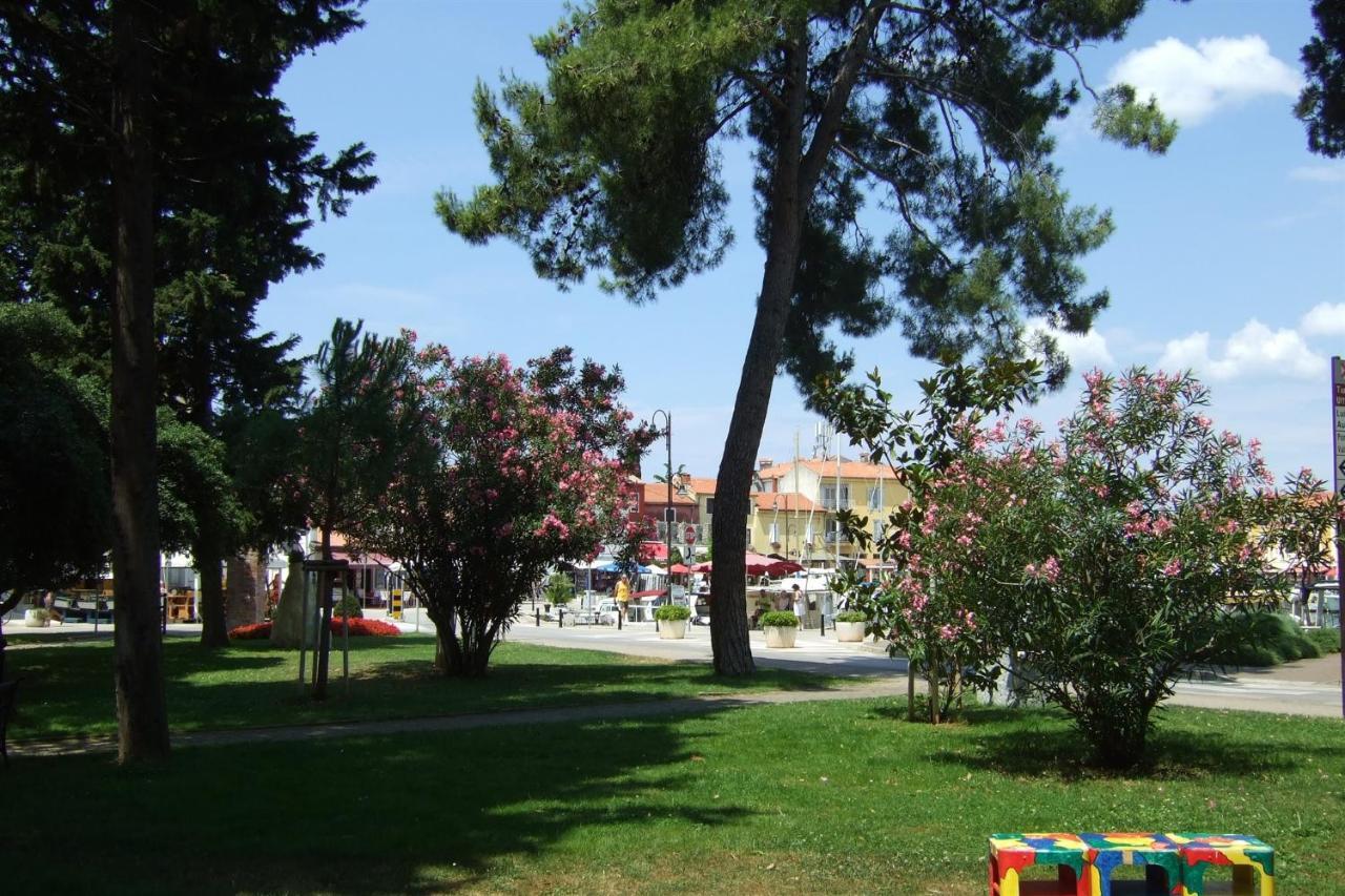 شقة Irena A2 Novigrad Istria المظهر الخارجي الصورة