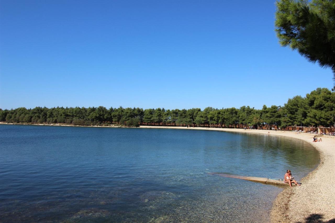 شقة Irena A2 Novigrad Istria المظهر الخارجي الصورة